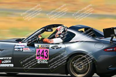 media/Sep-07-2024-Extreme Speed (Sat) [[dfc0b31d10]]/Green Group/Session 3-Turn 14/